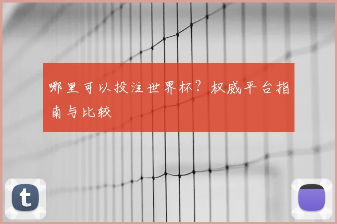 哪里可以投注世界杯?权威平台指南与比较