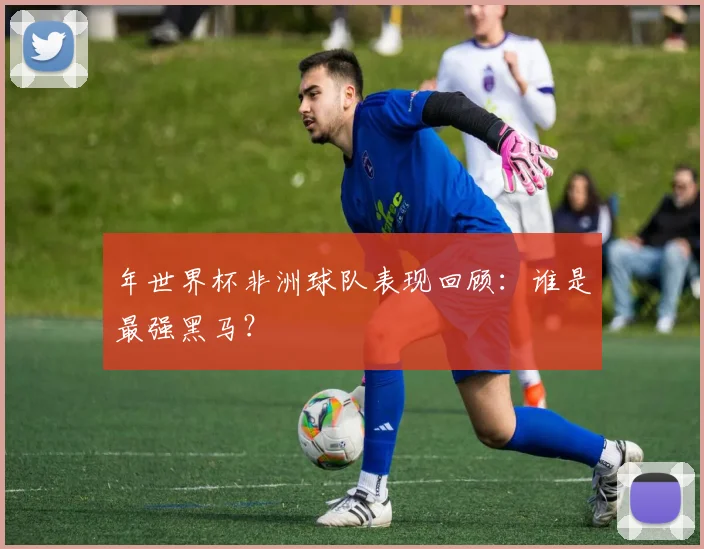 年世界杯非洲球队表现回顾:谁是最强黑马?