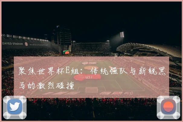 聚焦世界杯E组:传统强队与新锐黑马的激烈碰撞