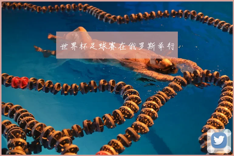 世界杯足球赛在俄罗斯举行