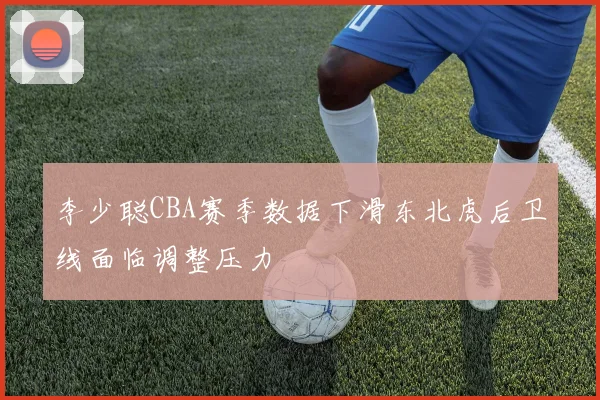 李少聪CBA赛季数据下滑东北虎后卫线面临调整压力
