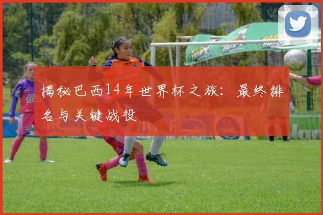 揭秘巴西14年世界杯之旅:最终排名与关键战役