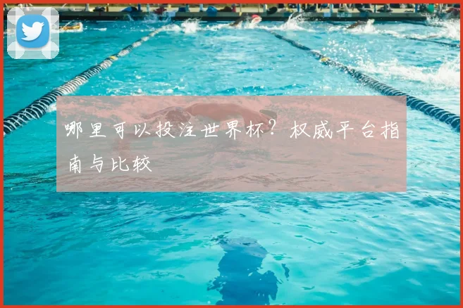 哪里可以投注世界杯?权威平台指南与比较