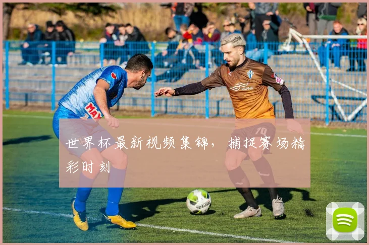 世界杯最新视频集锦,捕捉赛场精彩时刻