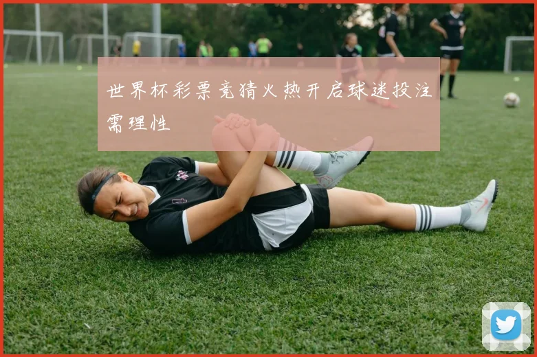 世界杯彩票竞猜火热开启球迷投注需理性