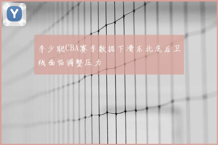 李少聪CBA赛季数据下滑东北虎后卫线面临调整压力